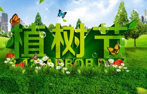  俊郎人的植树节